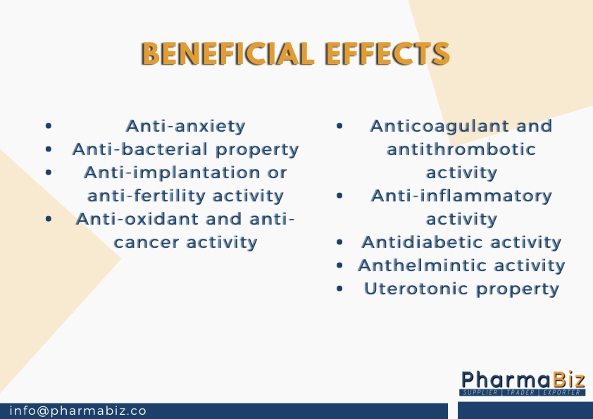 Kalihari | Flame lily | Climbing lily | Glory lily | Gloriosa Superba