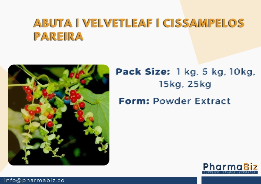 Abuta | velvetleaf | Cissampelos pareira