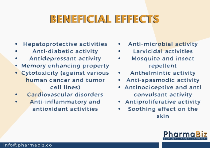 Tejphal | Tejbal | Winged Prickly Ash | Zanthoxylum Armatum