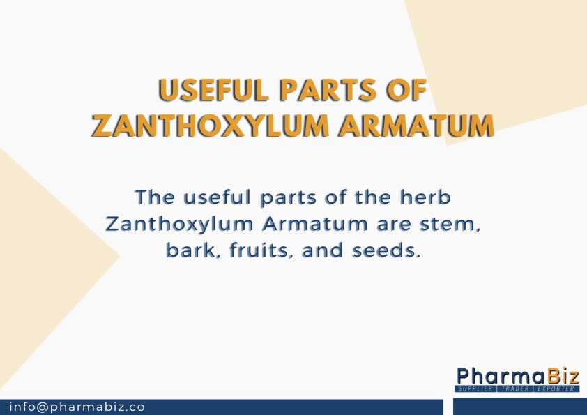 Tejphal | Tejbal | Winged Prickly Ash | Zanthoxylum Armatum