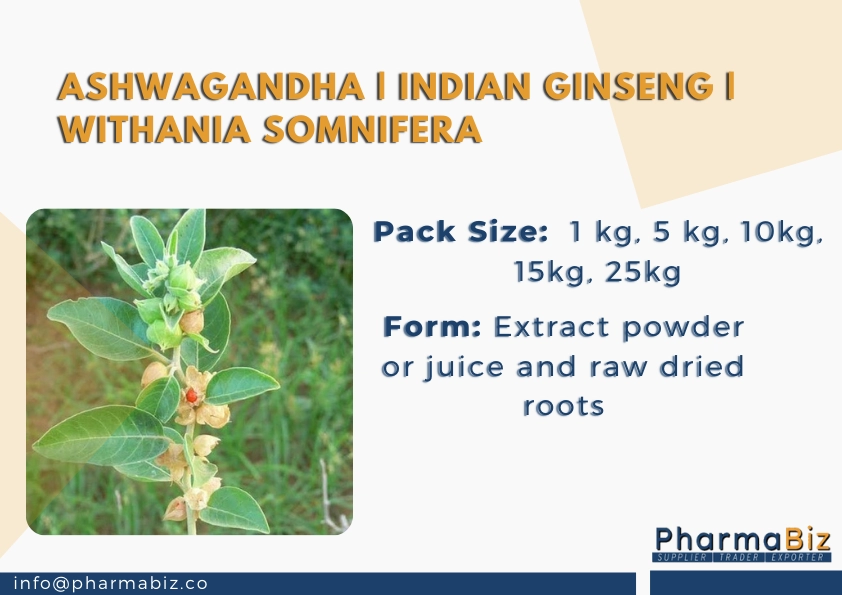 Ashwagandha | Indian ginseng | Withania Somnifera