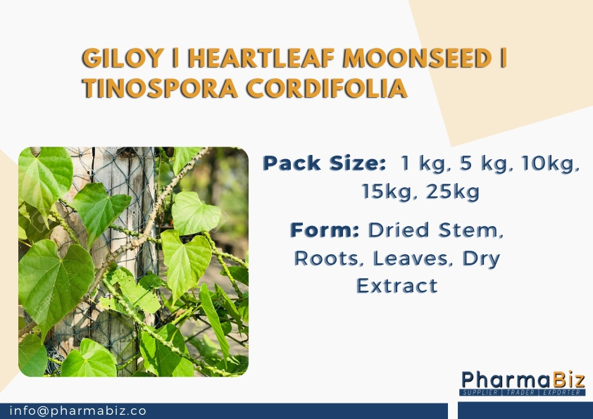 Giloy | Heartleaf moonseed | Tinospora Cordifolia