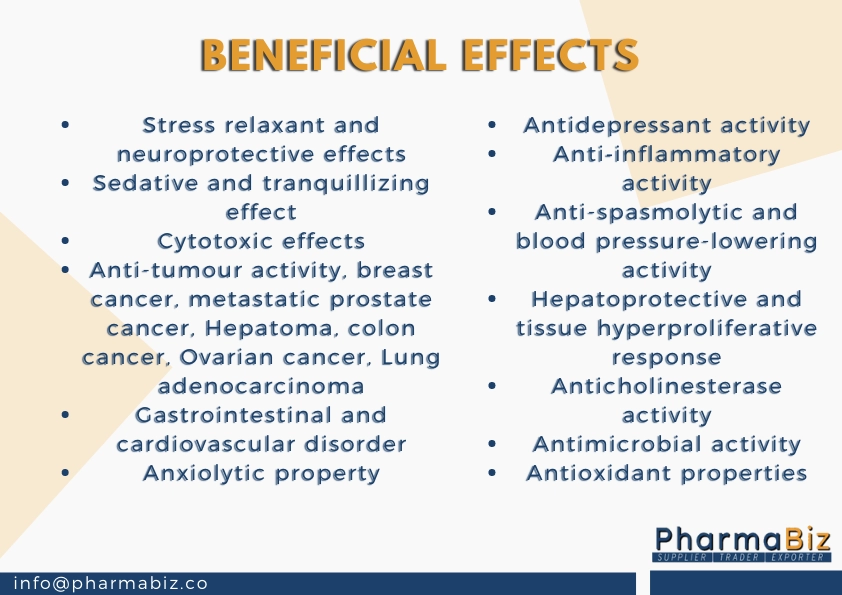 Tagar | Indian valerian | Valeriana Wallichii | Valeriana Jatamansi