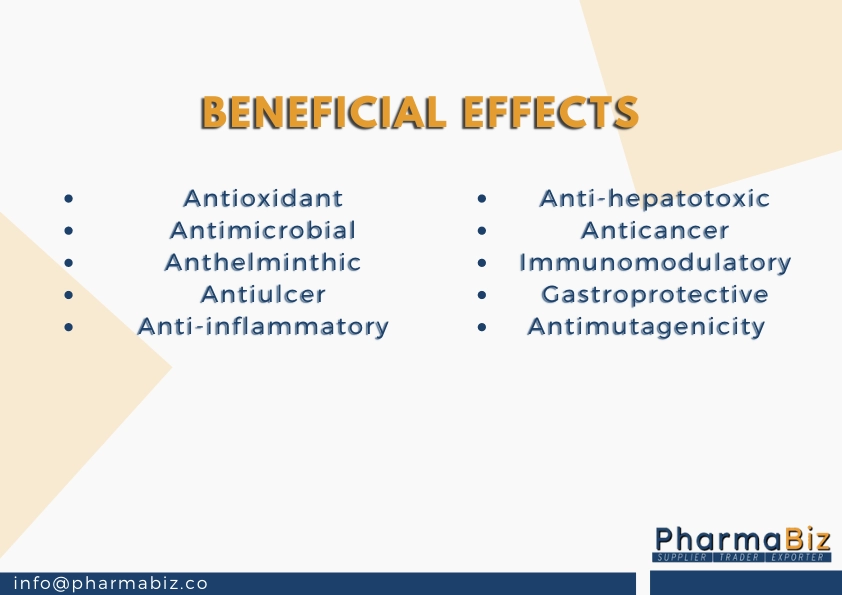 Shyonaka | Sonapatha | Indian trumpet tree | Oroxylum Indicum