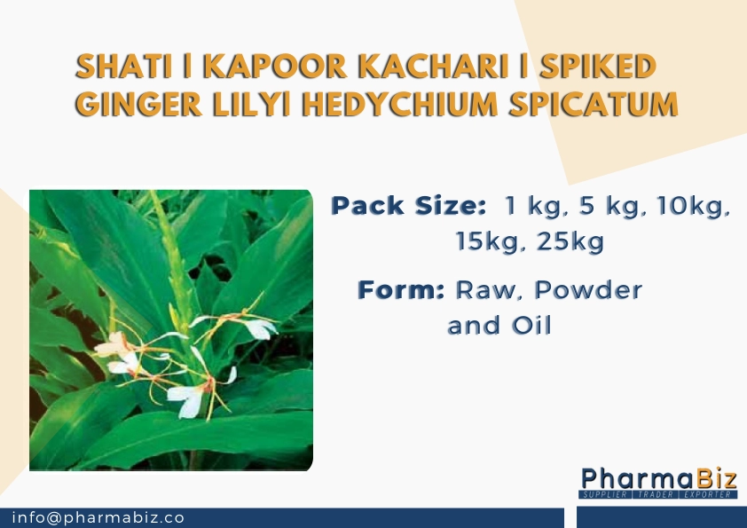Shati | Kapoor kachari |  Spiked ginger lily| Hedychium Spicatum