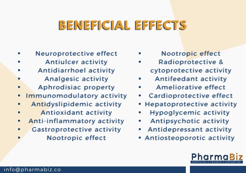 Giloy | Heartleaf moonseed | Tinospora Cordifolia