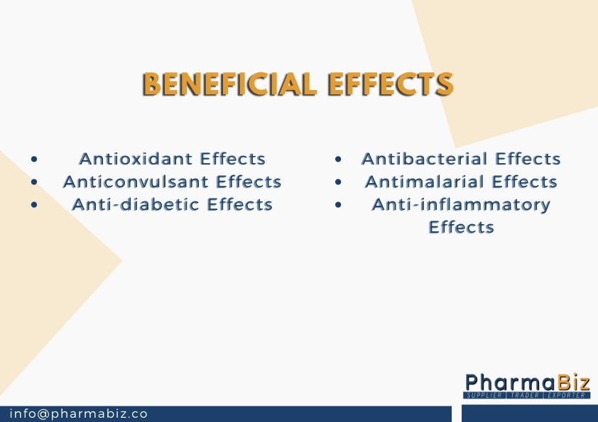 Shankhpushpi |  Dwarf Morning Glory | Evolvulus Alsinoides