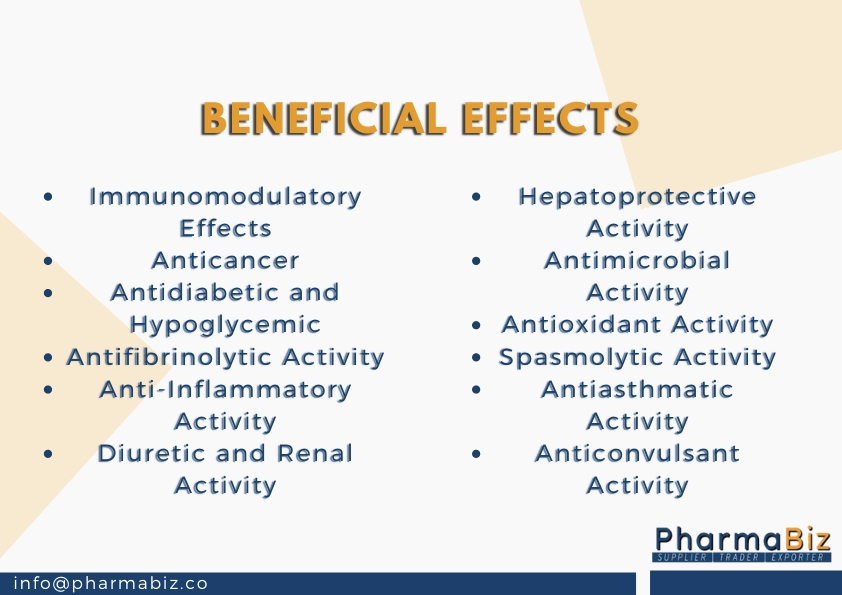 Punarnava | Santhi | Red Spiderling | Boerhavia diffusa