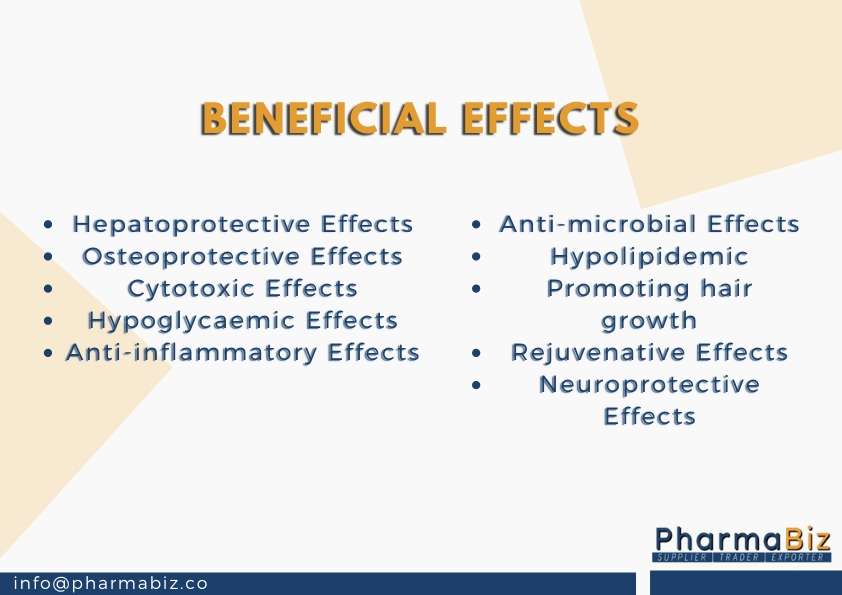 Bhringraj | False Daisy | Eclipta Prostrata