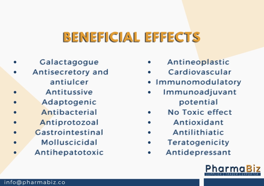 Shatavari| Buttermilk Root | Asparagus Racemosus